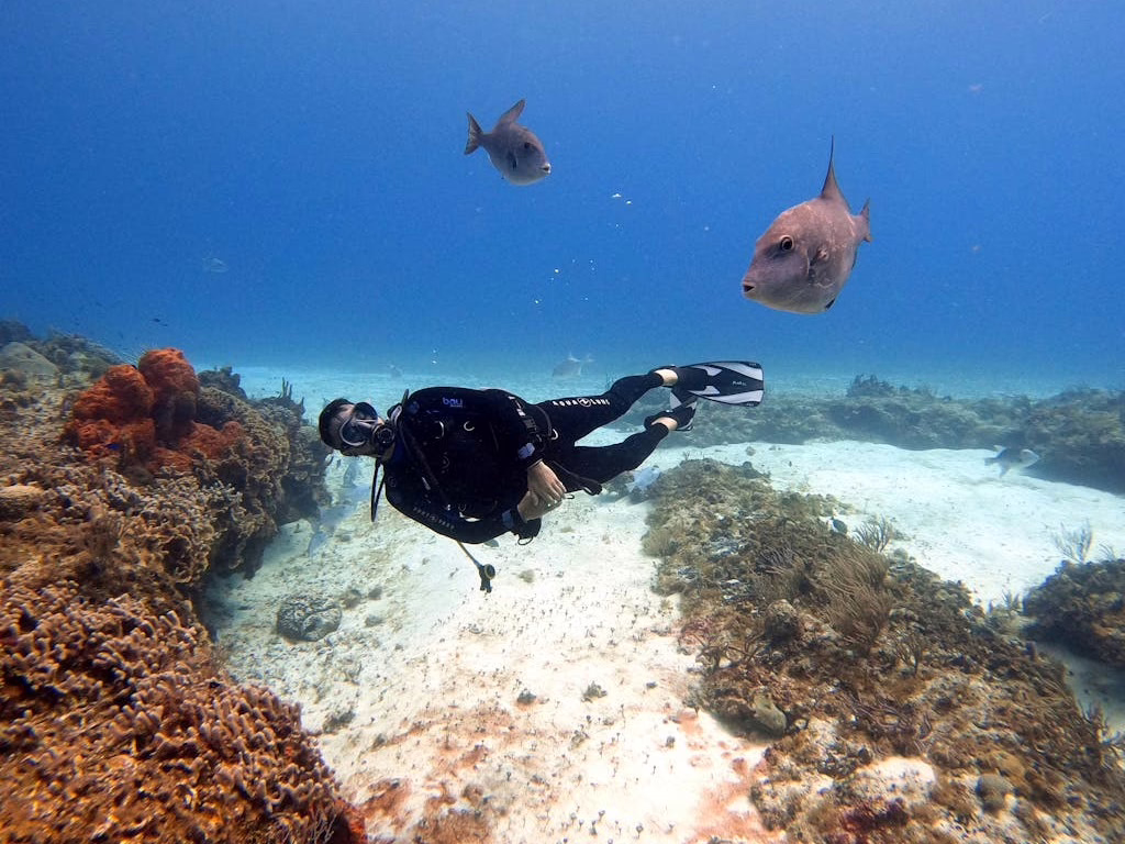Cozumel Beach Mexico: Exploring Mexico’s Caribbean Paradise