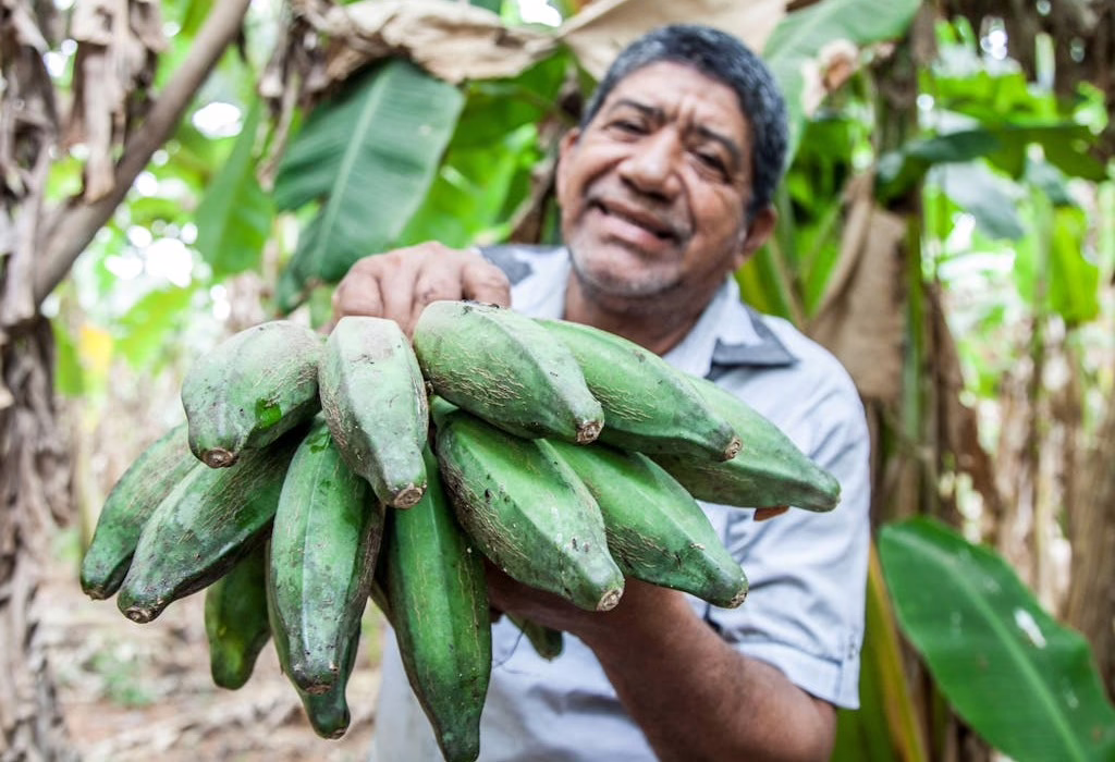 Colombia Traditional Food: From Marvelous Dishes to Exquisite Cafe
